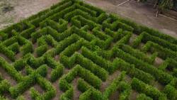 Un panorama de miedo a casi dos horas de Santiago: El laberinto más grande del país ofrece un tour especial en Halloween