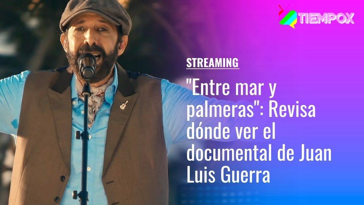 "Entre mar y palmeras": Revisa dónde ver el documental de Juan Luis Guerra