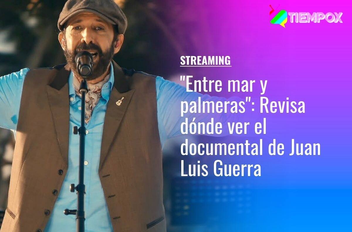 "Entre mar y palmeras": Revisa dónde ver el documental de Juan Luis Guerra
