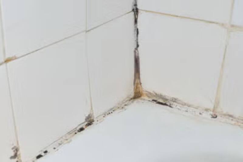 Con este truco podrás quitar el moho de tu baño.