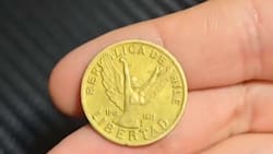 Revisa si la tienes: esta moneda chilena de $10 acuñada en 1985 podría valer hasta $10.000