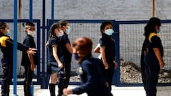 VIDEO | Psicóloga sobre proyecto que busca prohibir celulares en los colegios: “Favorece la atención y la concentración”