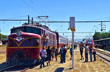 Tren del Recuerdo llega a la Vendimia del Valle del Aconcagua: horarios, actividades y precios desde Santiago