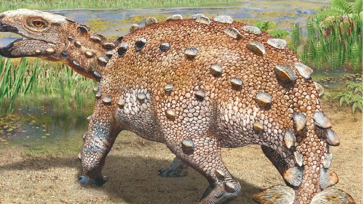 Stegouros Elengassen: así es la nueva especie de dinosaurio acorazado descubierto en Chile