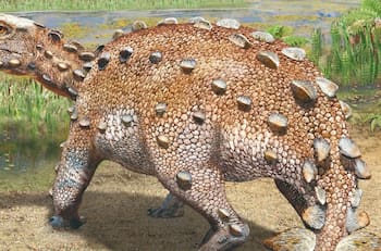 Stegouros Elengassen: así es la nueva especie de dinosaurio acorazado descubierto en Chile