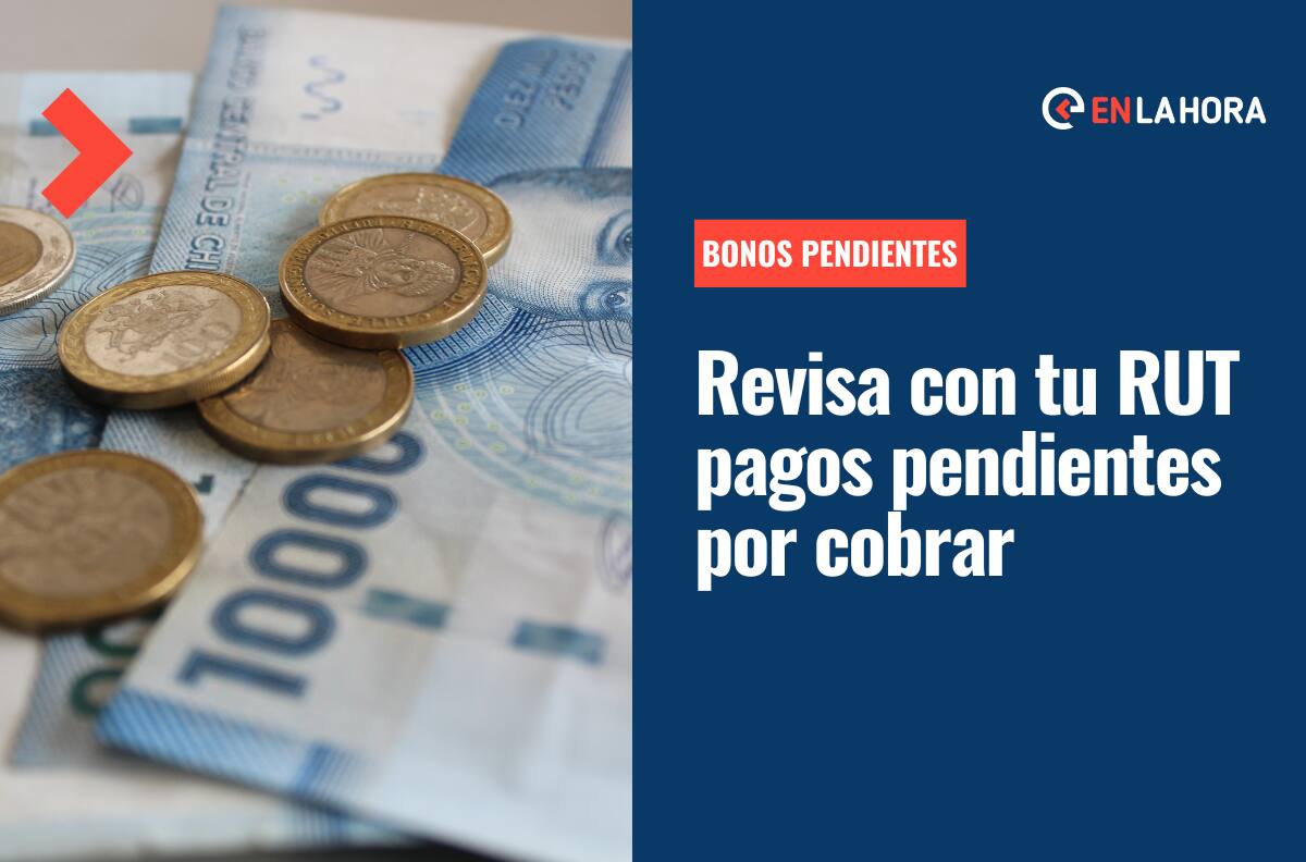 Bonos pendientes: Revisa con el RUT si tienes pagos por cobrar de beneficios IPS