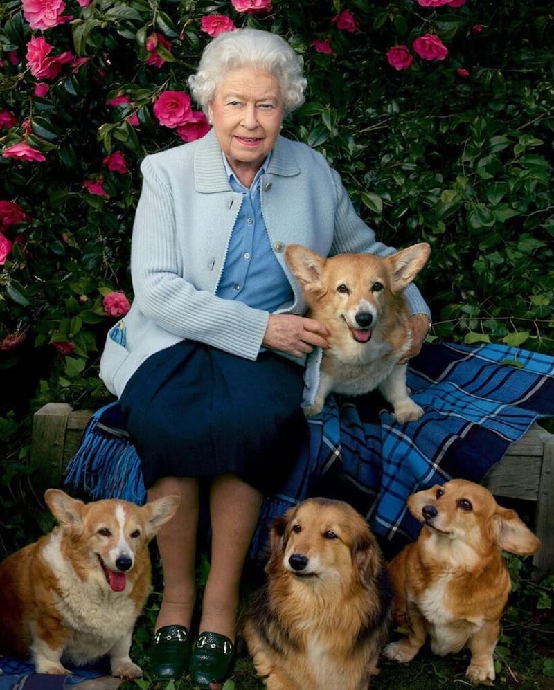 Reina Isabel II y sus corgis