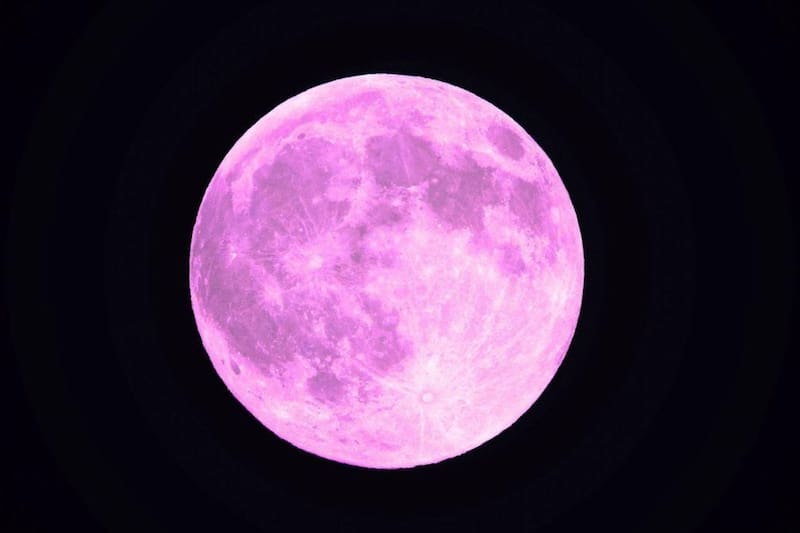 El evento es uno de los más esperados del otoño. Foto: Ecología Verde.