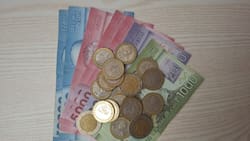 Bono Control Niño Sano: ¿Cómo postular al beneficio que entrega $10.000 mensuales?