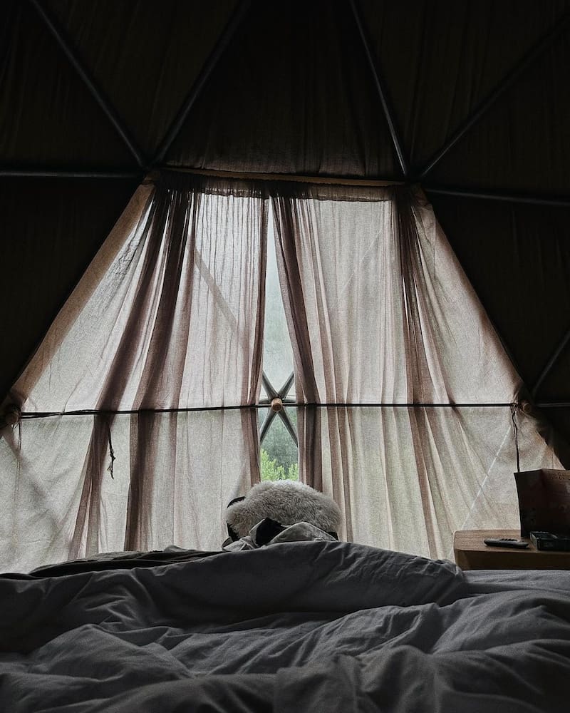 La romántica estadía que compartió la pareja