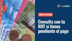 Bono Invierno: Consulta con tu RUT si tienes pendiente el pago de $120 mil