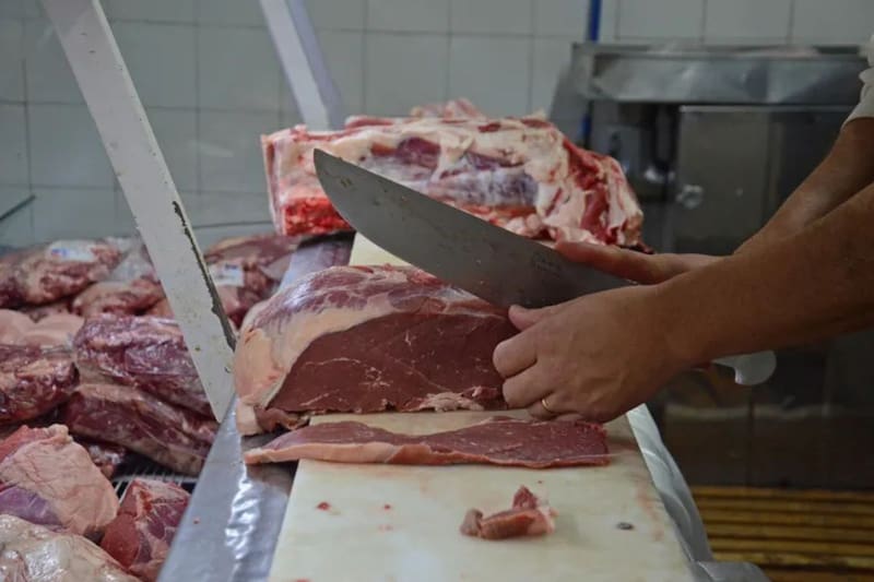Chile suspende la importación de carne desde la Argentina por desregulaciones.
Créditos: Aton.
