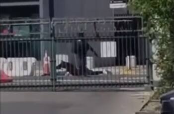 VIDEO | Con fusiles en mano: Delincuentes asaltaron banco y quemaron tres autos en Quilicura