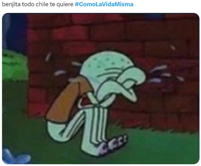 Los memes que dejó el estreno de "Como la vida misma"