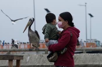 Bono Clase Media: ¿Qué porcentaje del beneficio es retenido por pensión de alimentos?