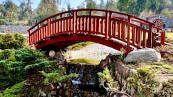 Conoce este jardín japonés oculto y gratuito en Santiago: Ubicación, horario y cómo llegar