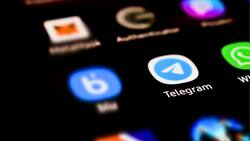 Así puedes evitar que te agreguen a grupos de desconocidos y de estafas en Telegram
