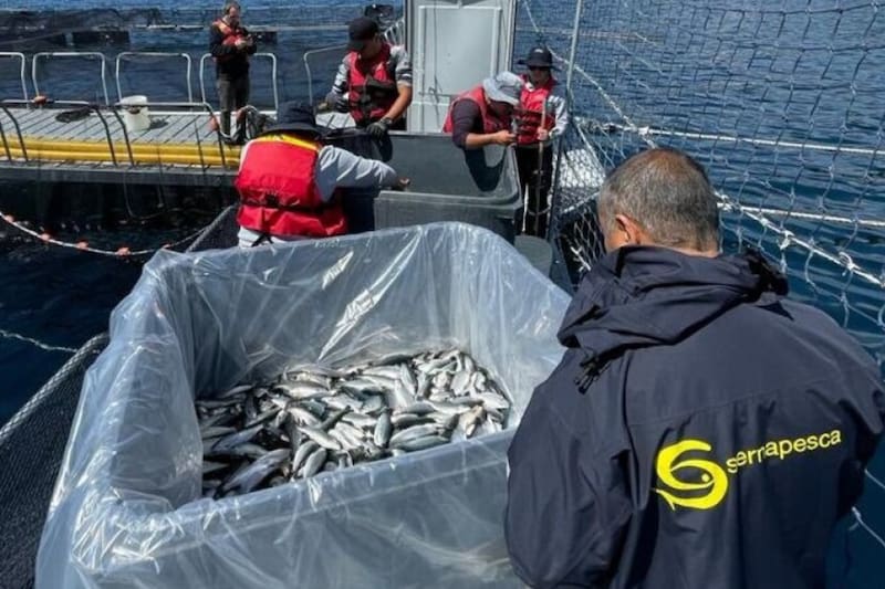 Descubre todos los detalles de esta subasta.