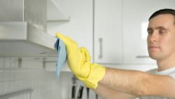 Cuatro trucos caseros para eliminar las hormigas de forma natural y sin químicos