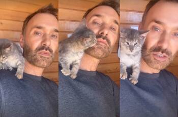 "¿Nos conocemos hace tres horas y ya te crees dueño de mí?": Gatito rescatado por Jordi Castell enternece sus redes sociales