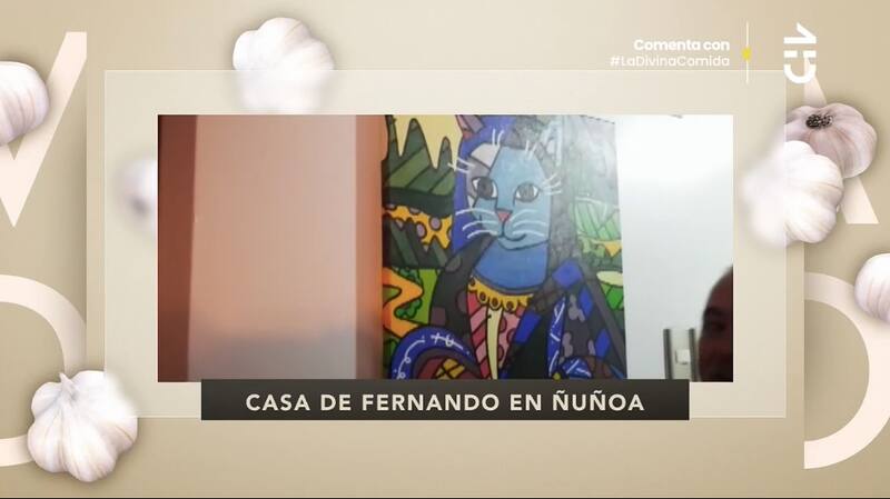 El cuadro de "Gato Lisa" / CHV