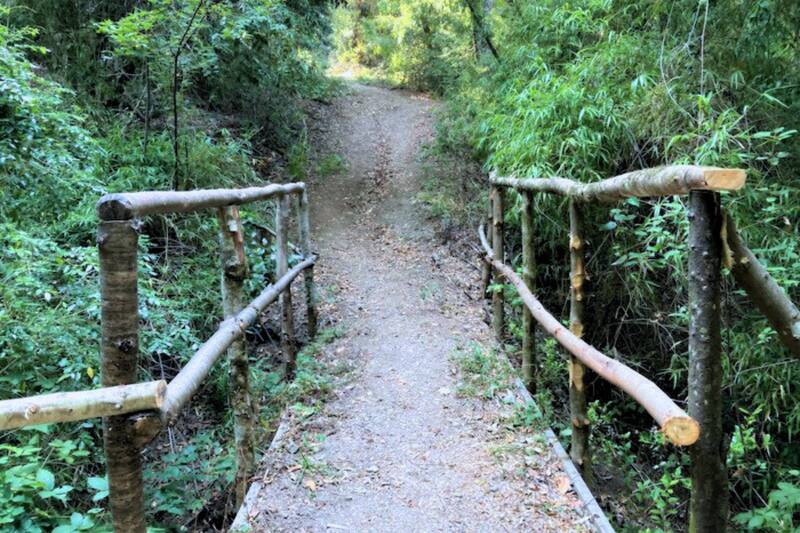 De dificultad media, pero que termina por encantar con la naturaleza que tiene alrededor. Créditos: Wikiloc.