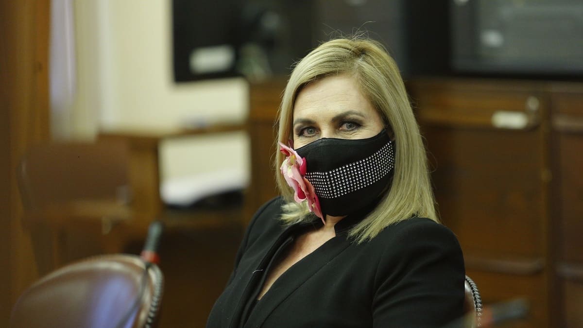 En pleno debate del tercer retiro Pamela Jiles anunció el ingreso de un proyecto por un cuarto 10%