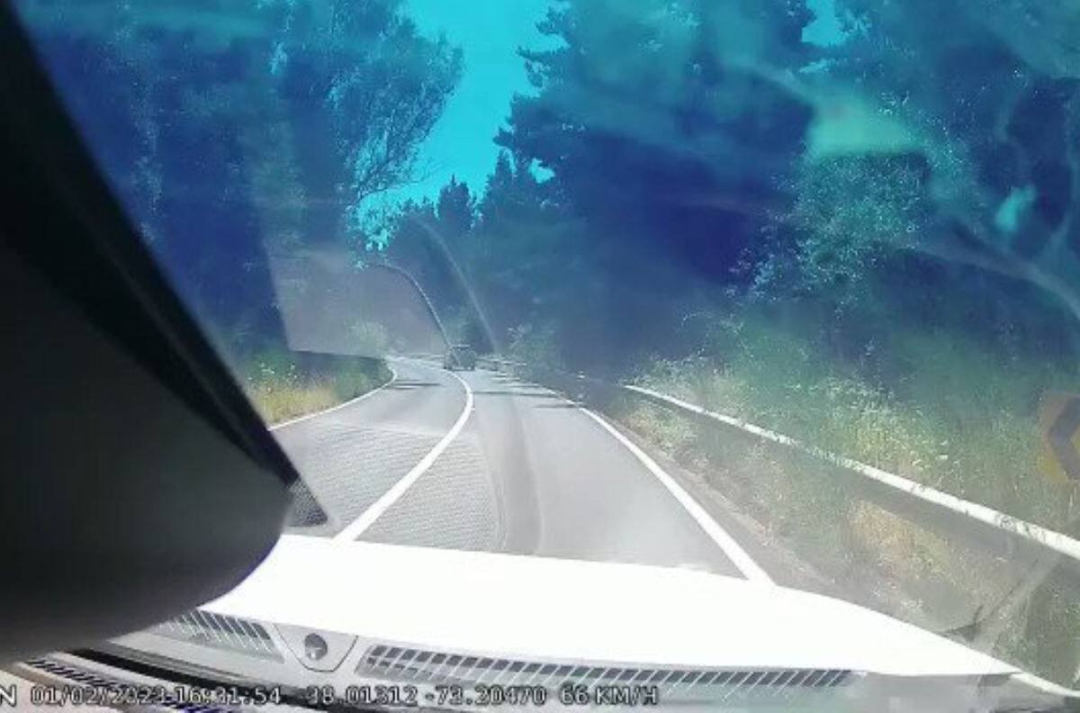 VIDEO | Trabajador es baleado luego de un robo frustrado en Contulmo