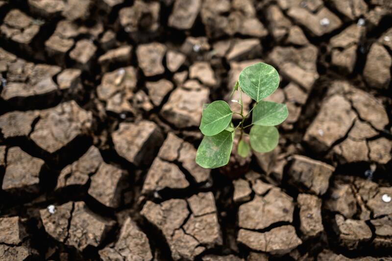 Estas fueron las comunas elegidas por la IA.