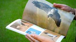 "Conociendo la Biodiversidad de Chile": El libro guía que nos enseña la belleza natural de la zona central
