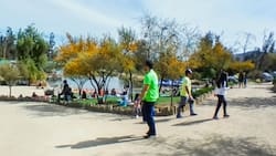 Celebra el Día de los Enamorados con un gran panorama gratuito en Puente Alto: Habrá shows en vivo, concursos, premios y más