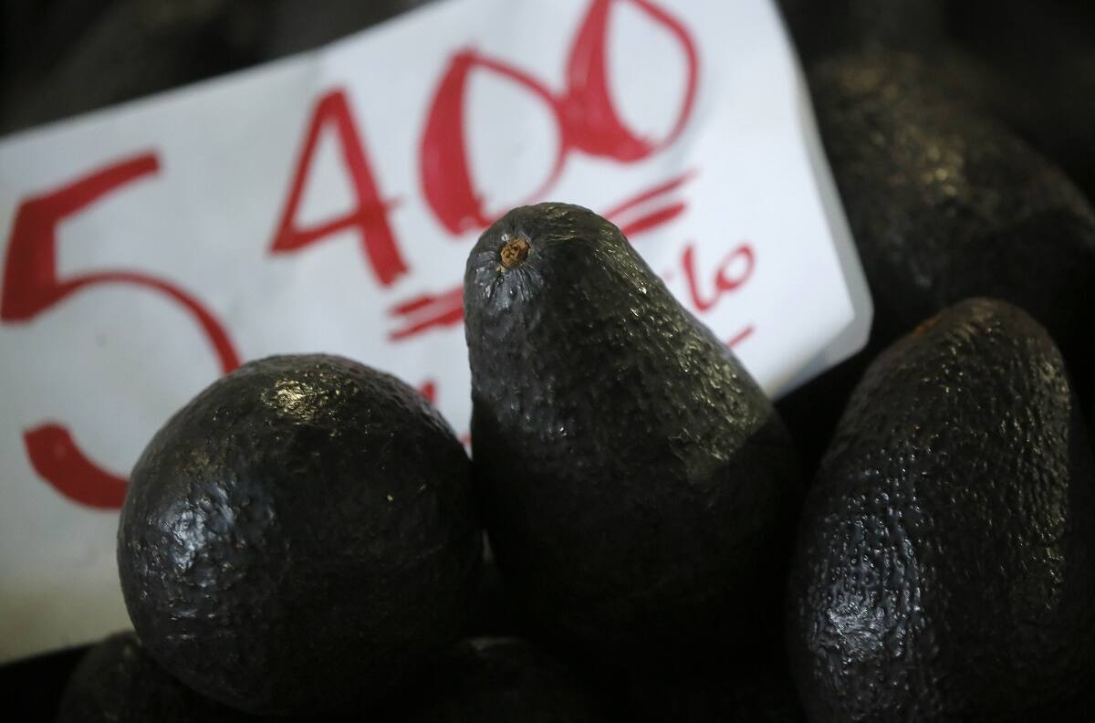 "No compres palta": la campaña para boicotear el alza en su precio que se tomó las redes sociales