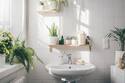Estas son 7 plantas tendencia que puedes poner en tu baño para decorar y mejorar el ambiente