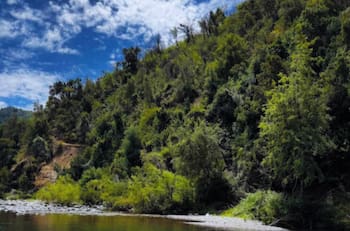 Panorama natural en la Región del Maule: Camping Monte Oscuro ofrece lo necesario para refrescar las vacaciones