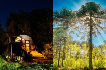 ¿Cuánto cuesta una escapada al Parque Conguillío? Incluye estadía de dos noches, desayuno, tinajas y trekking guiado