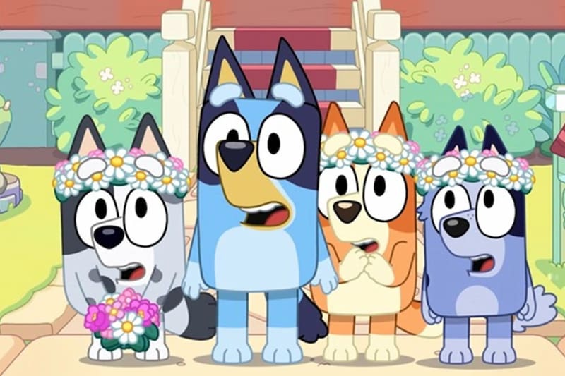 Estos son los descuentos que Caja Los Andes tiene para sus afiliados.