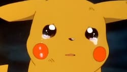 Pokémon Escarlata y Púrpura: Conoce el bug que está provocando que se borren las partidas guardadas de algunos jugadores