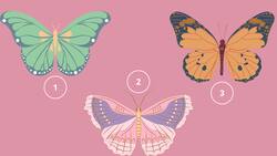 Test de personalidad: ¿Qué mariposa prefieres? Elige una y conoce un rasgo de tu personalidad que no conocías