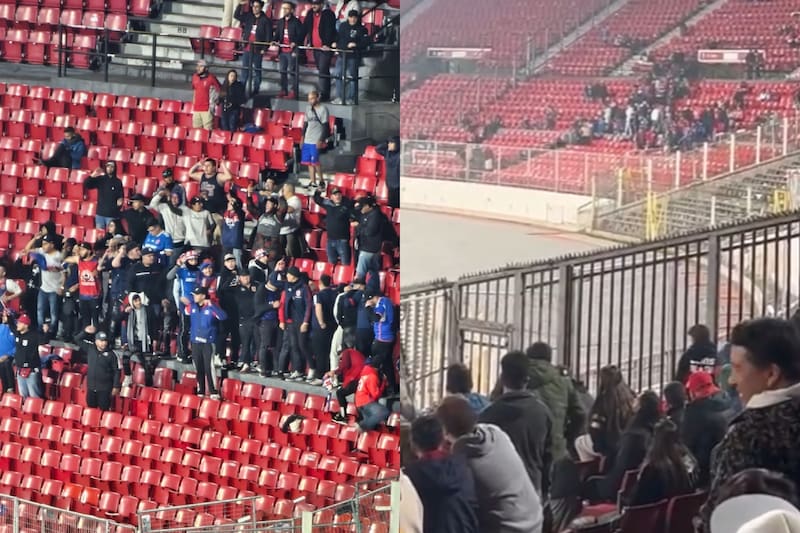 estuvieron alentando al DIM ante Palestino.