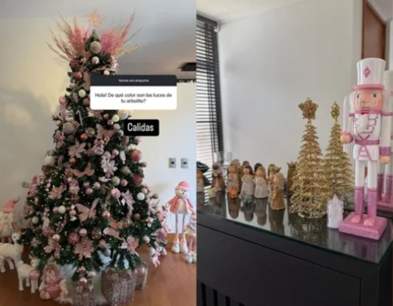 Rebeca Naranjo exhibió su árbol navideño. Créditos: Instagram
