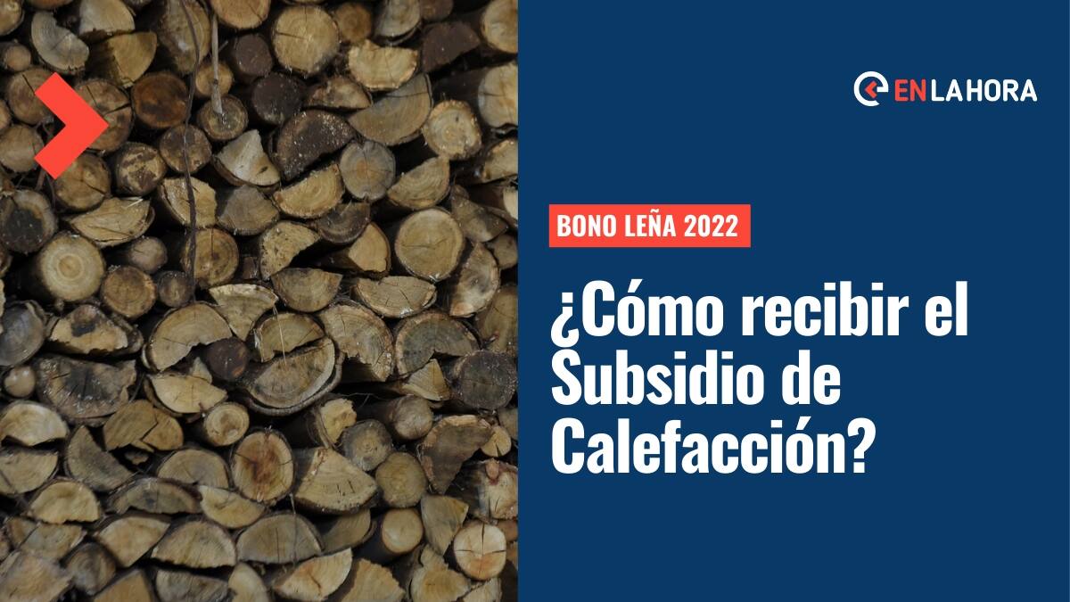 Subsidio Calefacción 2022: ¿Quiénes son beneficiarios del Bono Leña y cuándo se recibe el pago?