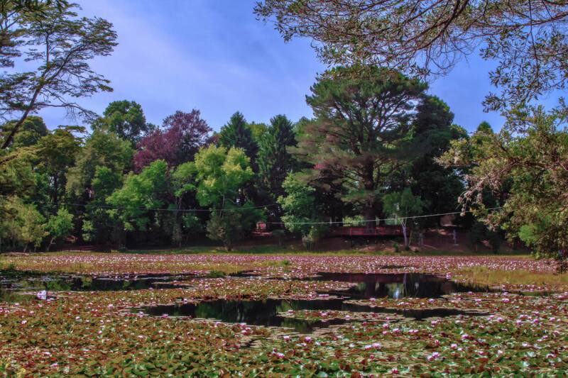 Una salida de la capital apta para encontrar calma y reencontrarse con la naturaleza. Créditos: Guía Turismo.