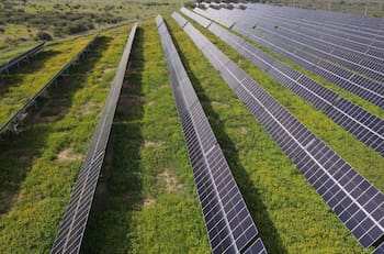 Central Oasis: El megaproyecto que se ejecuta en Chile y acaba de conseguir financiación de US$350 millones