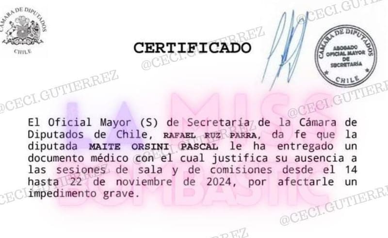 Permiso de Maite Orsini. Créditos: Cecilia Gutiérrez