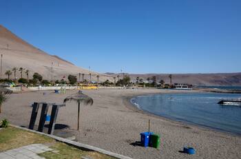 Indagan muerte de un joven baleado en playa Las Machas de Arica