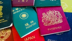 Estos son los pasaportes más poderosos del mundo en 2025: mala noticia para Chile