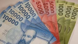 Nuevo monto para el ex Bono Marzo 2026: Consulta con tu RUT si podrás recibir el Aporte Familiar Permanente