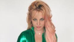 "Este hombre cambió mi vida": Britney Spears disfruta de un almuerzo con su abogado Mathew Rosengart