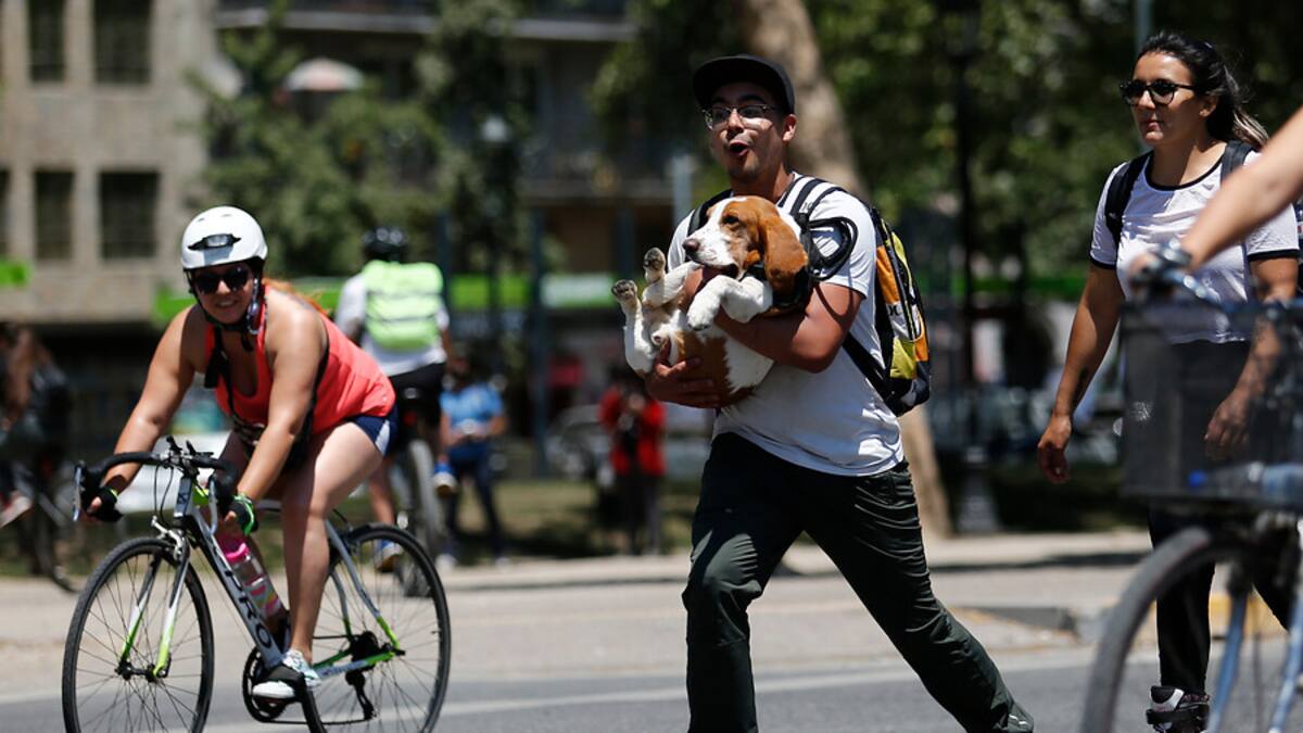 Plan Ciclovías 2021: Gobierno anunció $2.500 millones para construcción