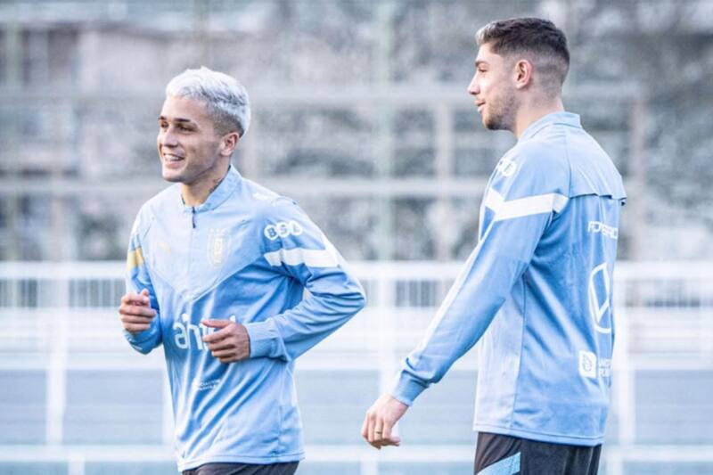 Llega a Everton de Viña del Mar.